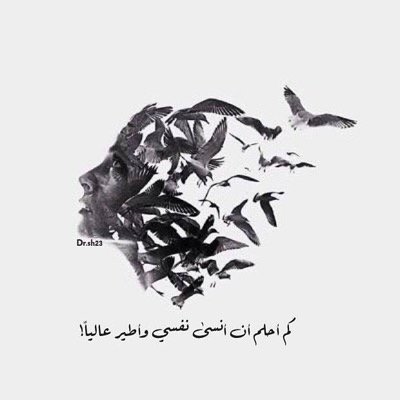 ghadaradwan2008's profile picture. 