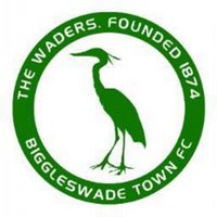 Biggleswade Town Youth FC(@BTownYouthfc) 's Twitter Profile Photo