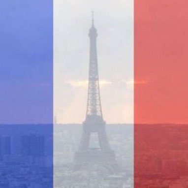 iarmy95's profile picture. 