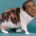 Pete Baki (@petebaki) Twitter profile photo Pete Baki (@petebaki) Twitter profile photo