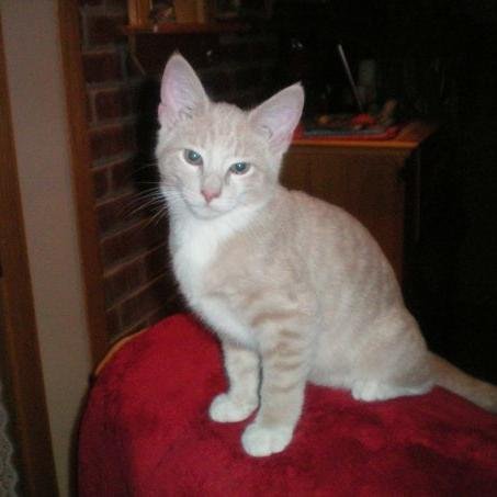 M_dahl55's profile picture. 