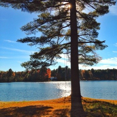 dinger_09's profile picture. 