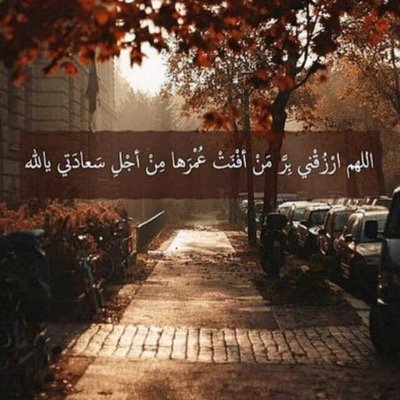 fgh1234565's profile picture. 