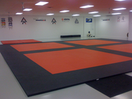 Specializing in Gracie/Brazilian Jiu-Jitsu.