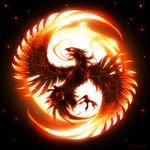 robertkane650's profile picture. 