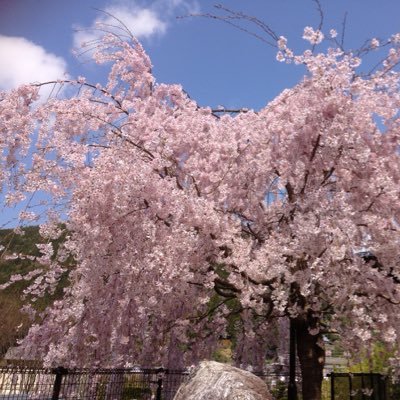 ゆみ 英語でことわざ Manners Know Distance 親しき仲にも礼儀あり 確かに海外では人 特に他人 との距離感大事にしますよね 東京の満員電車の距離のなさとかは 信じられないかもしれません ゆみ 英語でことわざ Manners Know Distance 親しき仲にも礼儀あり 確かに海外では人 特に他人 との距離感大事にしますよね 東京の満員電車の距離のなさとかは 信じられないかもしれません