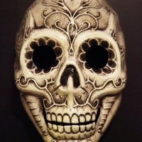 Xavier (@pull8up) 's Twitter Profile