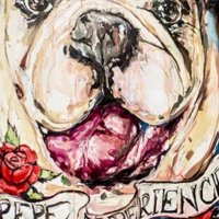 pepe moujir (@pmoujir) 's Twitter Profile