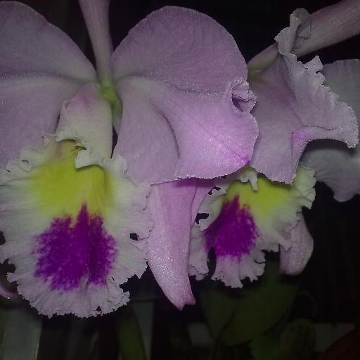 Ilijr_18's profile picture. 