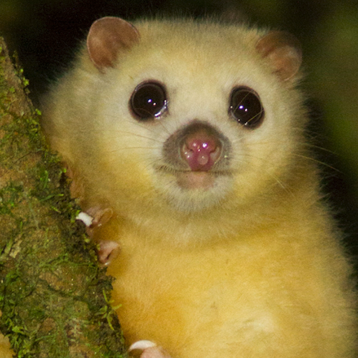 The official account for the Collective Environmental Sciences @JCU #ExperienceJCU