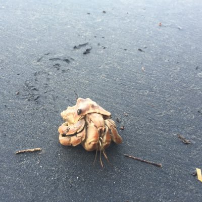 grnacres49's profile picture. 