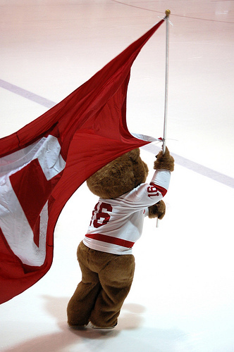 Fans of Cornell Big Red Hockey!