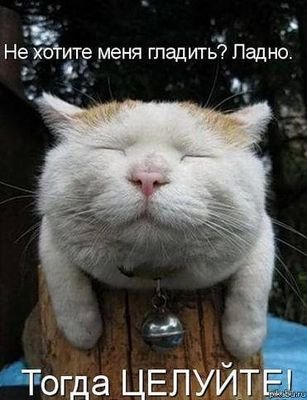 IMartemyanov's profile picture. 