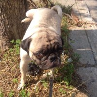 ik (@axonpsi) 's Twitter Profile