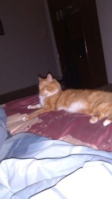 todd7881's profile picture. 