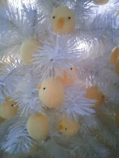 aiai_b's profile picture. 宝塚と将棋(見る将)
霧矢大夢さんのファンです