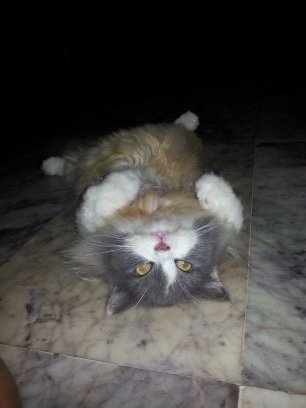 Riz0089's profile picture. 