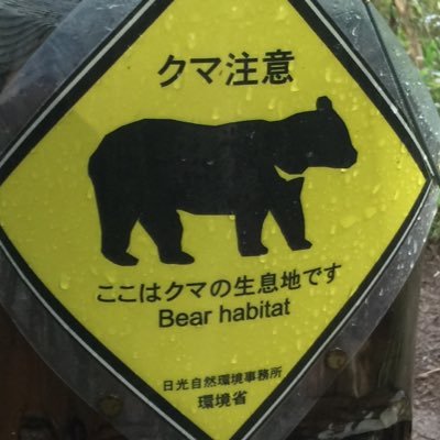 Keiji 五反田tocなう フィッシャーマン五反田店が閉店してから足が遠のいていた ここはロンドンスポーツ アウトレット物なので半端なく安い 商品はダンボールに山積み 笑 Http T Co 2ub93lyh Keiji 五反田tocなう フィッシャーマン五反田店が閉店してから足が遠のいていた ここはロンドンスポーツ アウトレット物なので半端なく安い 商品はダンボールに山積み 笑 Http T Co 2ub93lyh