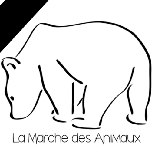 La Marche des Animaux regroupe toutes les personnes se sentant concernées par l'écologie et les animaux en voie de disparition. Trouvons des solutions !