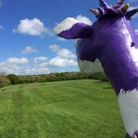 Gordon Taylor (@gjt70) 's Twitter Profile