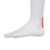 Achilles Tendons (@seth0neill) Twitter profile photo Achilles Tendons (@seth0neill) Twitter profile photo