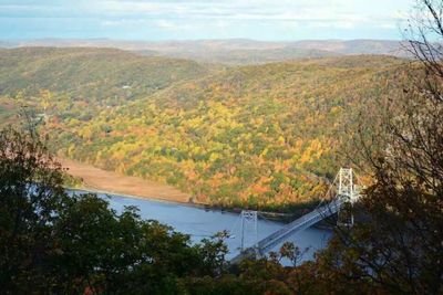 mufeng1999's profile picture. 