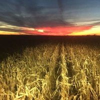 jason jones (@72jasonjones) 's Twitter Profile