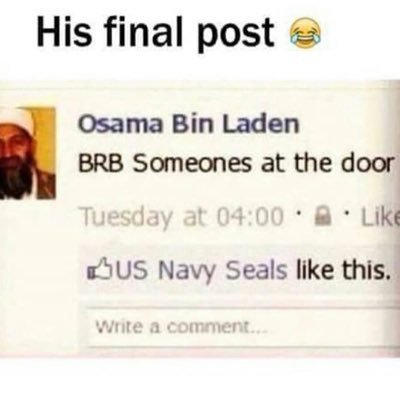 TexturedDolphin's profile picture. 