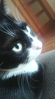 urilic's profile picture. 