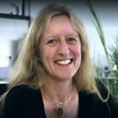 definemedia's profile picture. Digital Designer and Fine Art Student