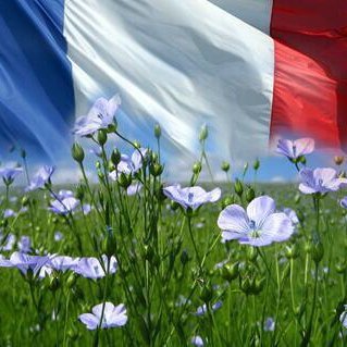 fredlin's profile picture. 