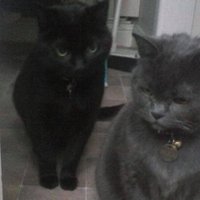 Pauline (@p_b_2_3) 's Twitter Profile