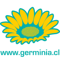 Germinia GrowShop (@germiniags) 's Twitter Profile