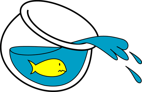 scottfishervo's profile picture. I talk into microphones