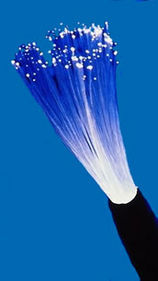 shrilon's profile picture. 