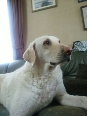 76Starfield's profile picture. 車、バイク(バイクの免許、持ってませんが)が大好きです！現在、ポルシェカイエン958に乗っていますが、ジャンルを問わず様々な車、バイクが好きです。