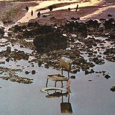 tfys2015april's profile picture. 