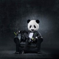 Panda o Nathan (@nathancwb) 's Twitter Profile