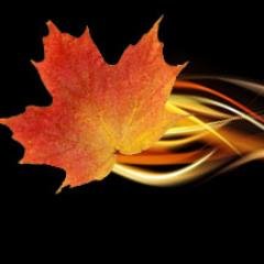 the_Maplefire's profile picture. 