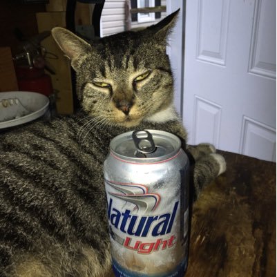 dannyejr's profile picture. 