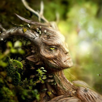 ForestSpriggan's profile picture. 