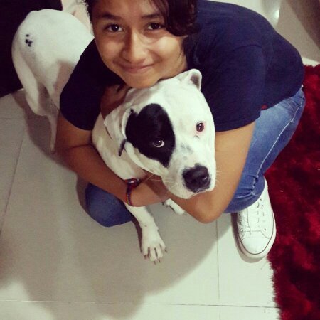 sosam931's profile picture. 