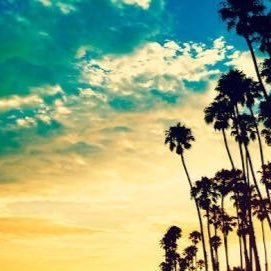 benyalealfaro's profile picture. 