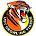UST Growling Tigers (@USTTigers) Twitter profile photo