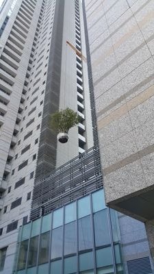 ya9518's profile picture. 