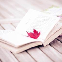 Webwiki_tk's profile picture. 