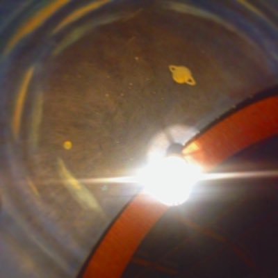 ChurchofBrian's profile picture. nothin special