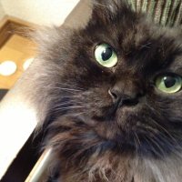 7031 (@10_7031) 's Twitter Profile