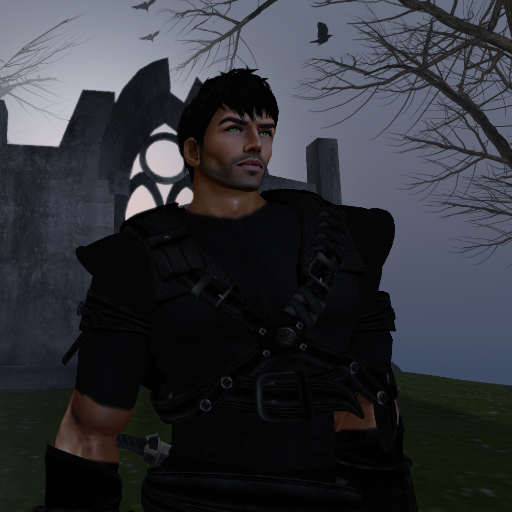 Writer, researcher, roleplayer, #Gorean lifestyler | (CC BY-NC-SA)