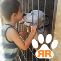Reversed Rescue (@reversedrescue) 's Twitter Profile